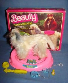 a small dog standing on top of a pink frisbee in front of a box