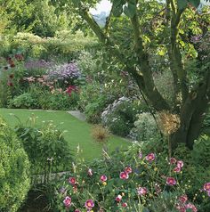 the garden is full of flowers and trees