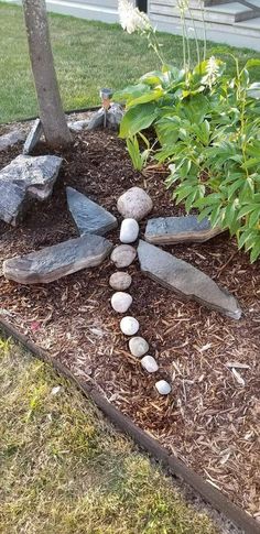 a garden with rocks arranged in the shape of a dragon on it's back