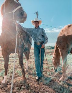 a man standing next to two horses in a field