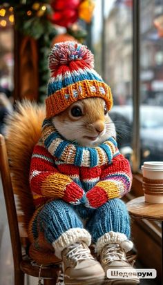 a small cat wearing a knitted hat and scarf sitting on a chair in front of a window