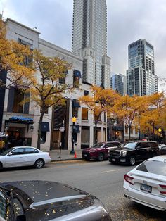 cars are parked on the street in front of tall buildings with yellow trees and leaves