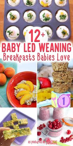 baby led weaning breakfasts for babies to eat in the morning and night