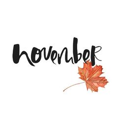 the word november written in black ink with an orange maple leaf on it's side