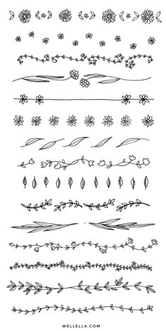 a set of hand drawn floral design elements