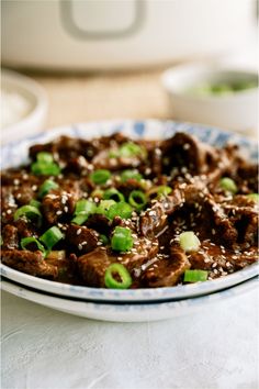 a close up of a plate of food with meat and green onions on it's side