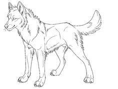 a drawing of a wolf standing with its head turned to the side