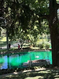 a lake with green water and two swans in the middle, surrounded by trees on both sides