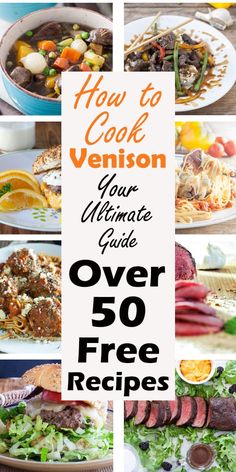 how to cook venison your ultimate guide over 50 free recipes