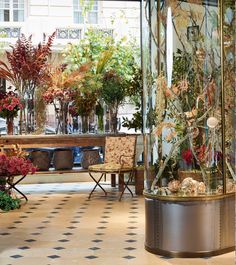 a room filled with lots of different types of flowers and plants inside of glass cases