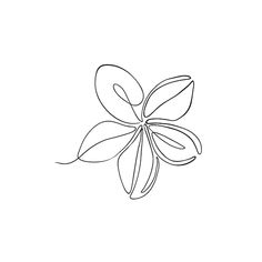 the outline of a flower on a white background