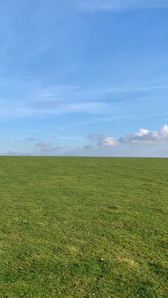 a large open field with some animals in the grass and one horse standing on it's side