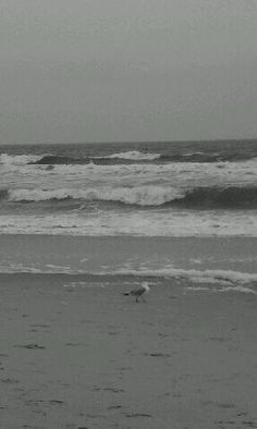 a person walking on the beach with a surfboard in their hand and waves crashing behind them