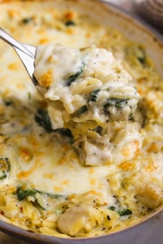 a spoon full of cheese and spinach casserole