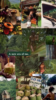 the collage shows many different pictures with people and animals in them, including coconuts