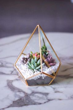 small succulents in a glass terrarium on top of a marble table