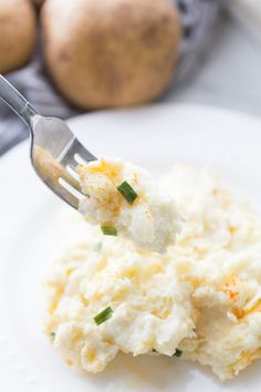 a fork full of mashed potatoes on a white plate