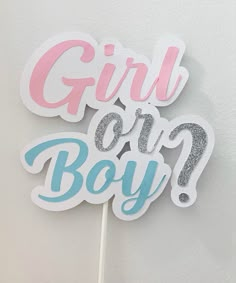 a cake topper with the words girl or boy written in blue, pink and silver