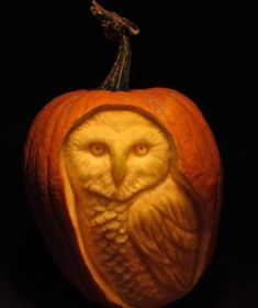 an owl carved into a pumpkin on a black background