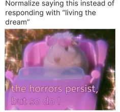 a hamster in a pink toy car with the caption normalize saying this instead of responding with living the dream, but so do i don't