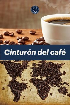 Esta franja imaginaria que rodea al Ecuador tiene las condiciones ideales para cultivar café; abarca 4 continentes e incluye unos 70 países. Conoce cuáles son. Ecuador