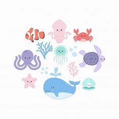 an image of sea animals in the ocean