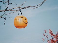 an orange pumpkin hanging from a tree with its mouth open and eyes drawn on it