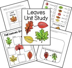 four leaves unit study pages with the words fall leaves gr and leaf word work on them