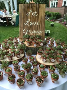 there are many potted plants on the table at this outdoor wedding reception and sign that says let love grow