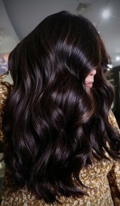 Espresso Hair Color, Hair Color Brown Chestnut, Rich Brown Hair, Dark Chocolate Hair, Hair Color Guide, Chestnut Brown Hair, Brown Hair Shades, Dark Brunette Hair, Hair Color Chocolate