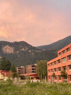 an orange building in front of a mountain with trees and flowers on the grass below it