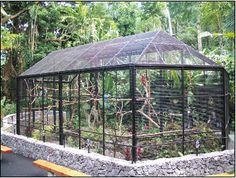 a small metal structure with plants growing inside it in the middle of a forest area