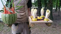 a man holding a tray filled with fruits and vegetables