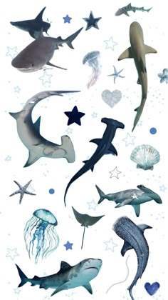 various types of sea animals are shown in this image, including sharks and jellyfish