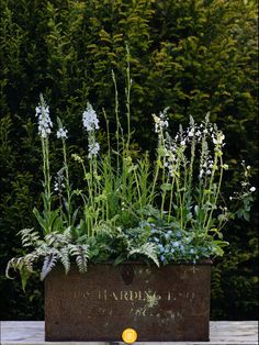 a planter filled with lots of flowers on top of a wooden table