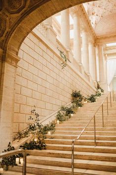 there are many plants growing on the stairs