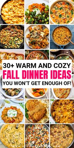 fall dinners Crockpot Fall Recipes Dinners, Fall Night Dinner Ideas, Fall Make Ahead Dinners, Delicious Supper Ideas, Quick Easy Fall Recipes Dinner, Fall Time Dinner Ideas, Fall/winter Dinner Ideas, Easy Fall Dinners For Two, Full Course Meal Ideas