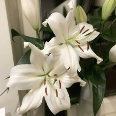 some white flowers are in a vase on a table