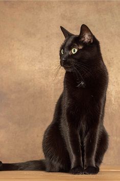 a black cat sitting on top of a wooden table next to a brown wall with green eyes