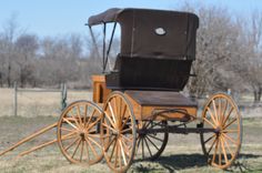 an old fashioned horse drawn carriage in a field