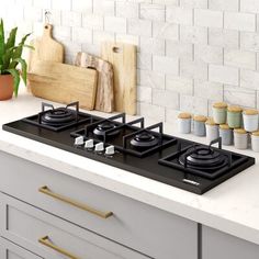 a black stove top sitting on top of a counter next to a potted plant