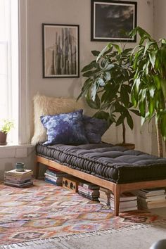 a living room with a couch, potted plant and pictures on the wall