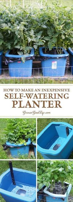 how to make an expensive self watering planter