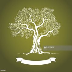 an olive tree with ribbon on green background