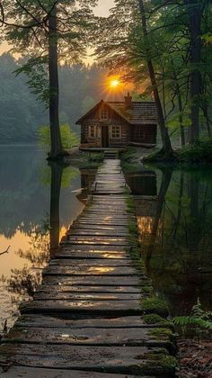 a wooden walkway leading to a cabin in the woods with water and trees around it