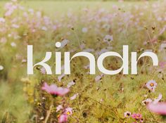 a field full of pink flowers with the word kindan written in white on it