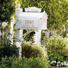 a white mailbox sitting in the middle of a garden