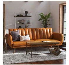 a living room with a couch, coffee table and potted plant