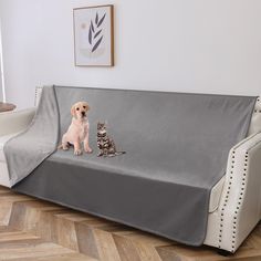 a dog and cat sitting on top of a couch covered in a gray cover next to each other