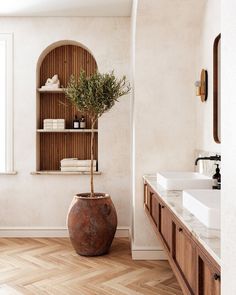 a large potted plant sitting in the middle of a bathroom